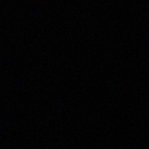 Meet your Posher, Ivy